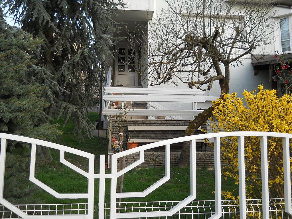 Apartment & Rooms Miboti Samobor Ngoại thất bức ảnh